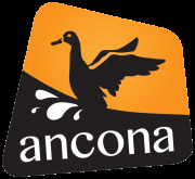Ancona Logo png.png